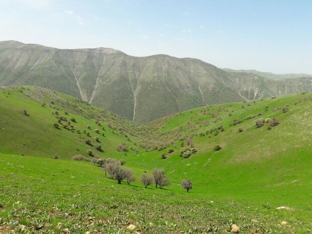 پاورپوینت مراتع ایران