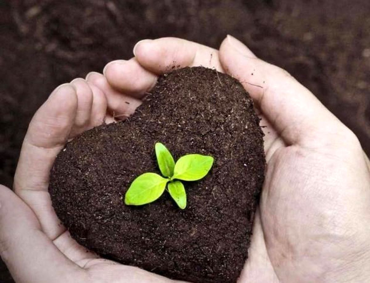 پاورپوینت عوامل موثر بر حاصلخیزی خاک